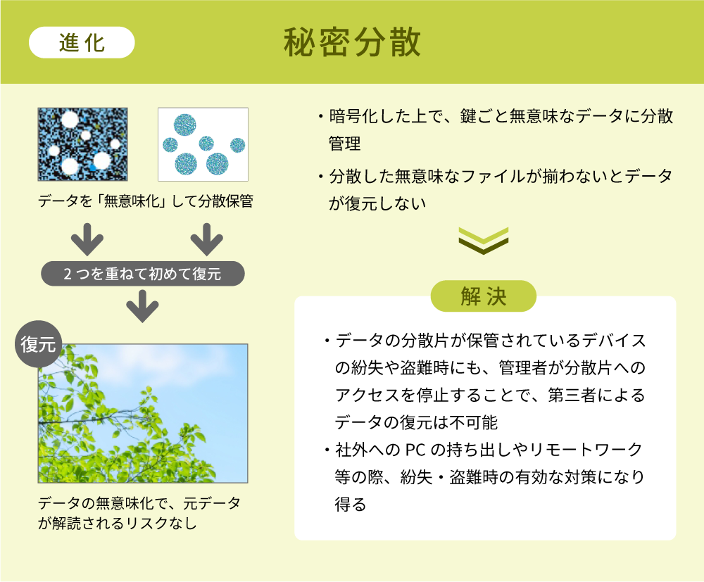 進化 秘密分散